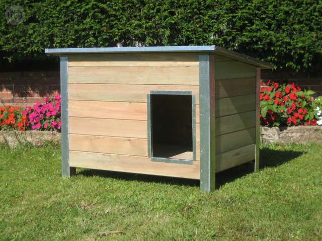 niche pour chien