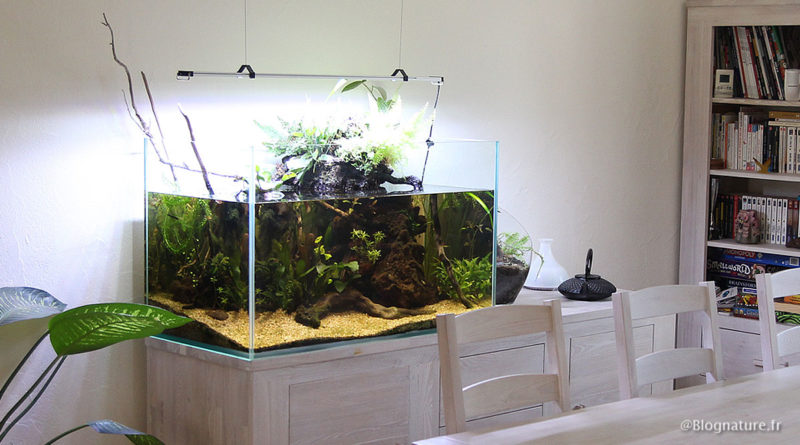 Combien de temps un aquarium peut rester sans pompe